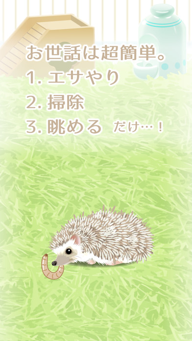 癒しのハリネズミ育成ゲーム（無料）のスクリーンショット_2
