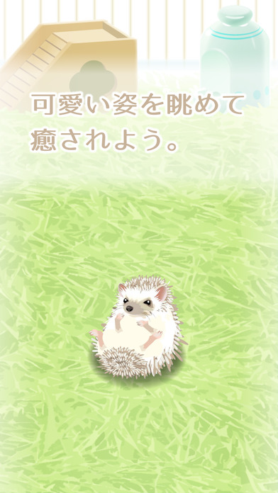 癒しのハリネズミ育成ゲーム（無料）のスクリーンショット_3