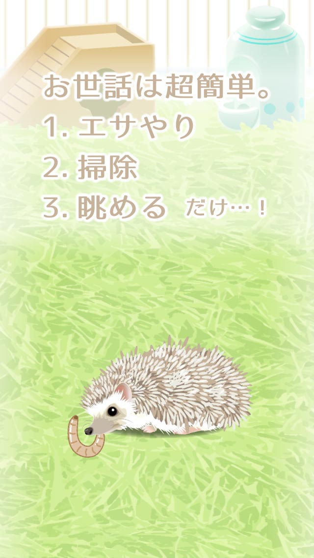 癒しのハリネズミ育成ゲームのスクリーンショット_2