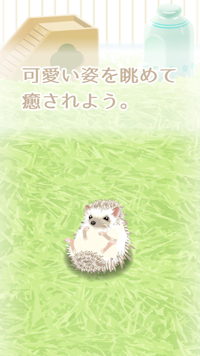 癒しのハリネズミ育成ゲームのスクリーンショット_3