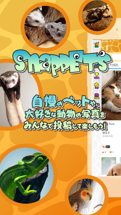 SNAP PETS~スナップペット・ペット写真・情報共有コミュニティ~のスクリーンショット_1