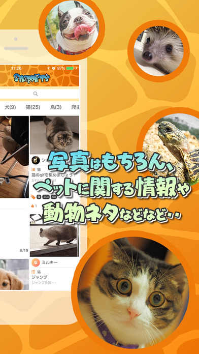 SNAP PETS~スナップペット・ペット写真・情報共有コミュニティ~のスクリーンショット_2