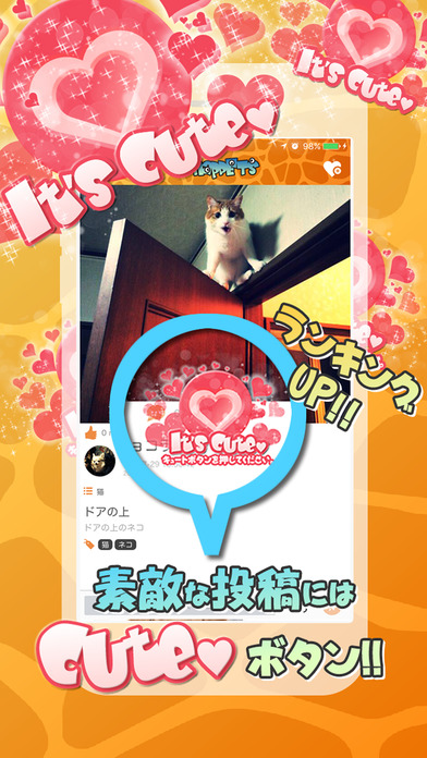 SNAP PETS~スナップペット・ペット写真・情報共有コミュニティ~のスクリーンショット_3