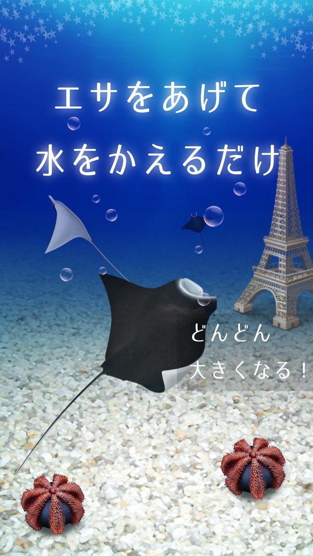 水槽が作れる！マンタ育成ゲームのスクリーンショット_2
