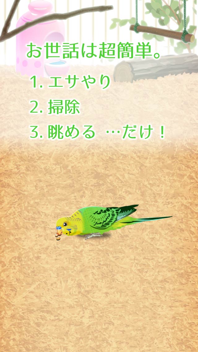癒しのインコ育成ゲームのスクリーンショット_2