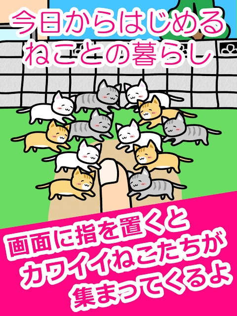 ねことあそぶ - 癒しのにゃんこゲームのスクリーンショット_5