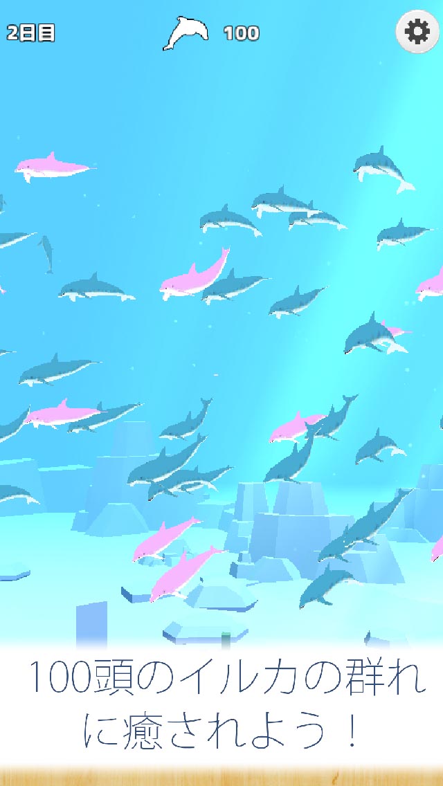 まったりイルカ育成ゲーム - 癒しのイルカのゲームのスクリーンショット_4