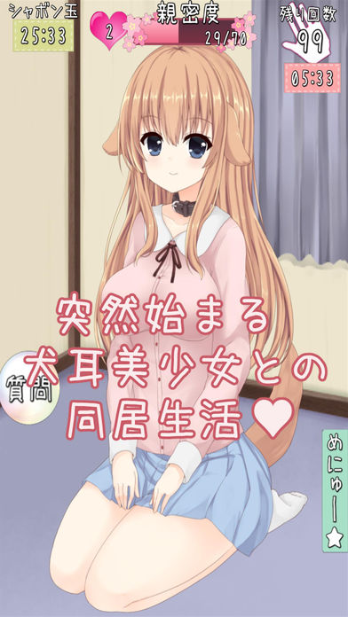 わんだふるはうすのスクリーンショット_3