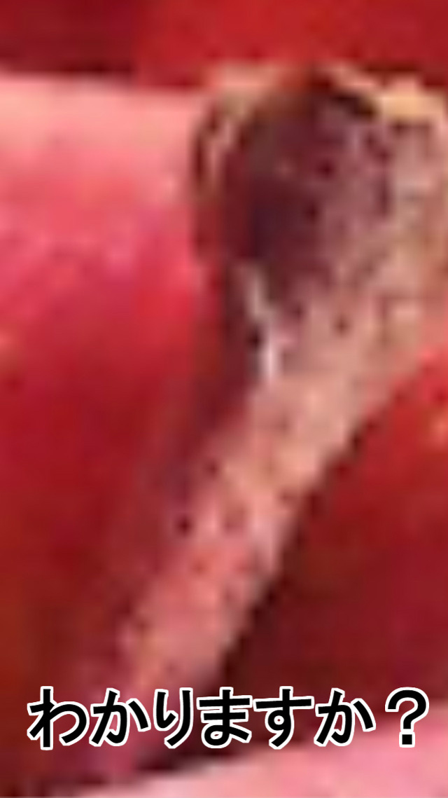 コレナニ ーひらめき新感覚クイズーのスクリーンショット_2