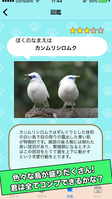 とりガチャのアプリ情報 予約トップ10