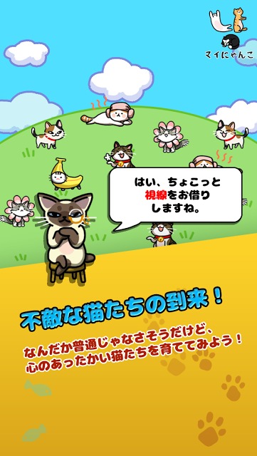 マイにゃんこ：どこでもいっしょにのスクリーンショット_1