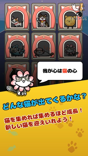 マイにゃんこ：どこでもいっしょにのスクリーンショット_3