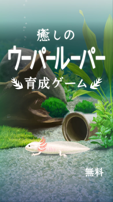 癒しのウーパールーパー育成ゲームのスクリーンショット_1