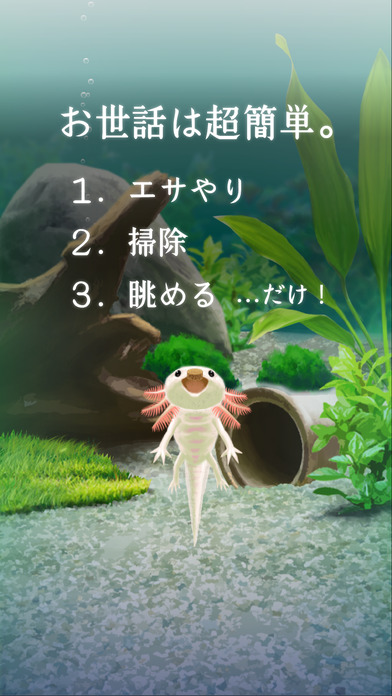 癒しのウーパールーパー育成ゲームのスクリーンショット_2