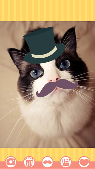 ちょびヒゲのスクリーンショット_1