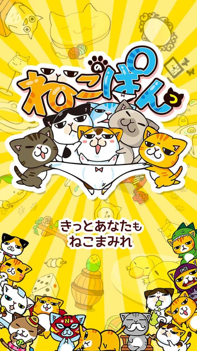 ねこぱん - まめ猫もっふりぱんつのスクリーンショット_1
