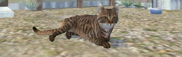 Lost Cat,Shouwa Town