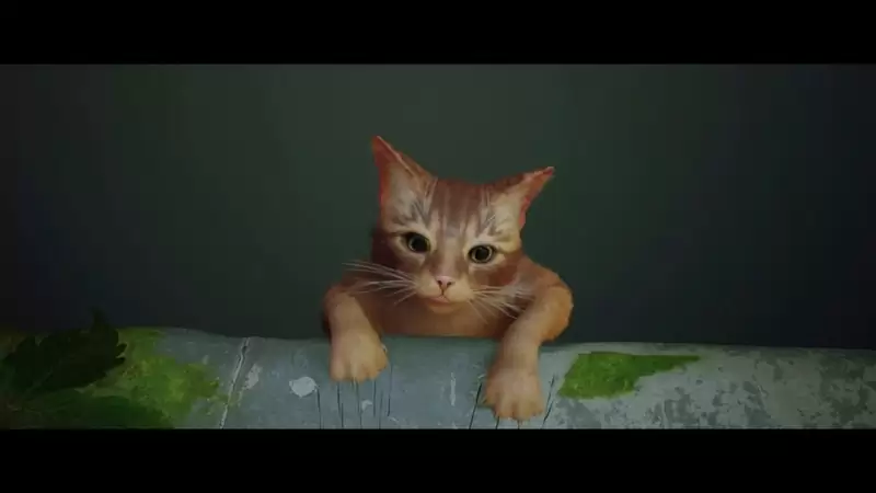 Stray (ストレイ)の発売日や対応機種、最新情報まとめ| 予約トップ10