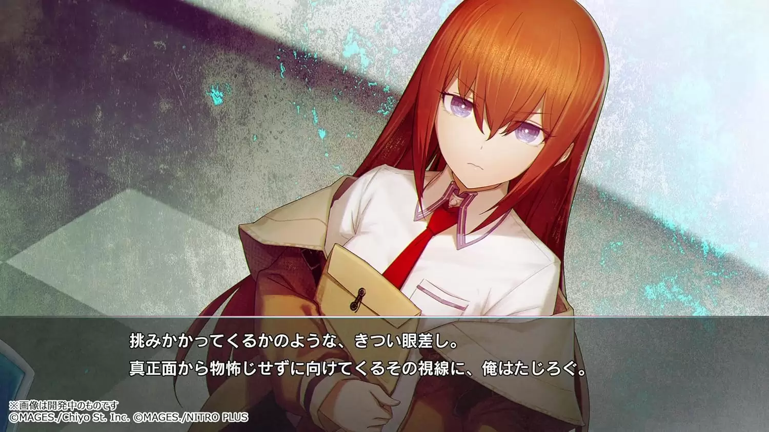 STEINS;GATE RE:BOOT（シュタインズゲート リブート）の発売日や対応