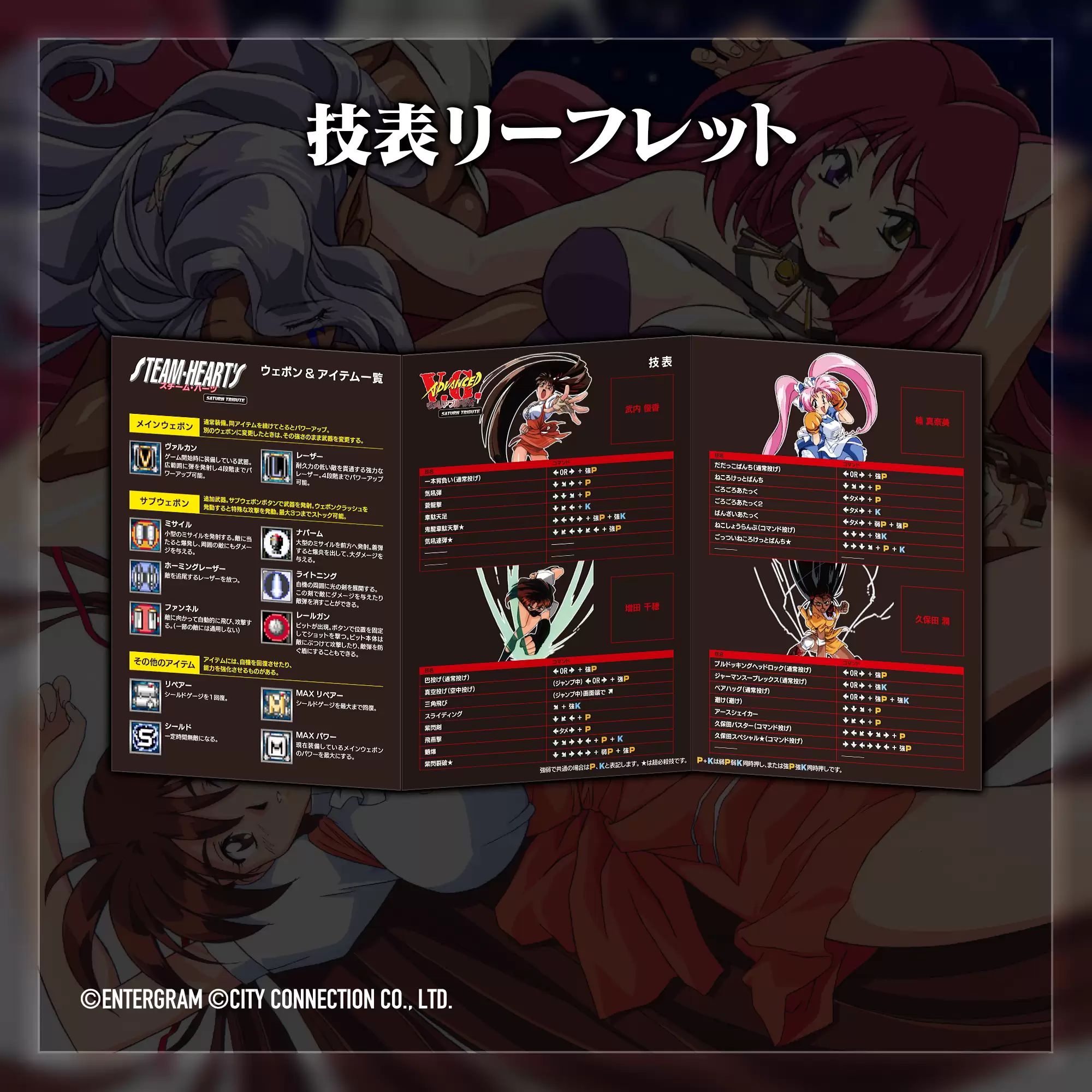 スチーム・ハーツ＆アドヴァンスト ヴァリアブル・ジオ サターン