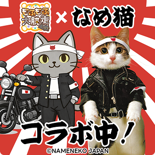 なめ猫